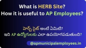 "Overview of the Herb website for AP employees, offering services like payslip downloads, salary details, and employee self-service."
