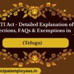 "RTI Act Sections Explanation Telugu"