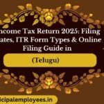 Income Tax Return 2025: Filing Dates, ITR Form Types & Online Filing Guide in Telugu